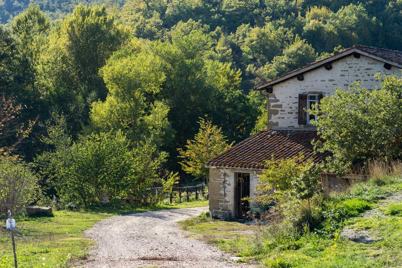 Agriturismo L'Oca Blu Hotel Gubbio Exterior photo